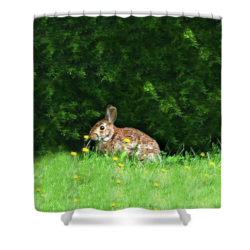 Bunny Shower Curtain featuring the photograph Bunny Love by Barbara S Nickerson