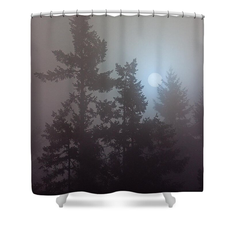 Sun Shower Curtain featuring the photograph Burning Through The Fog by Randy Hall