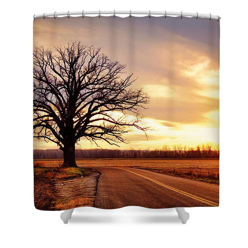 Old Shower Curtain featuring the photograph Burr Oak Silhouette by Cricket Hackmann
