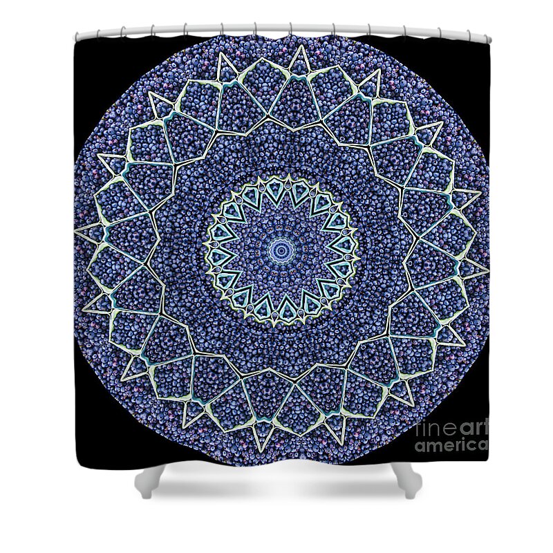 Burst Of Blueberries Shower Curtain featuring the photograph Burst of Blueberries by Patty Colabuono