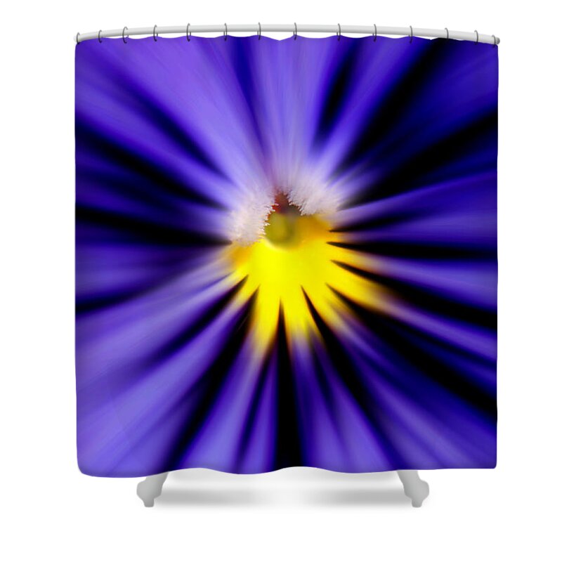 Flower Shower Curtain featuring the photograph Bursting with Blue Pansy by Kelly Nowak