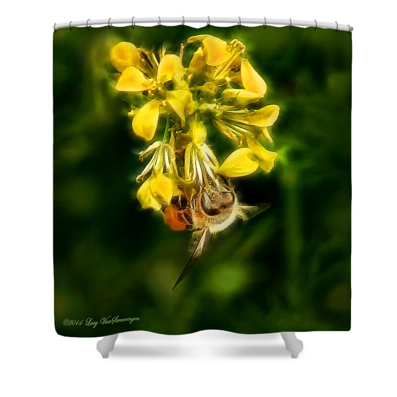 Bee Shower Curtain featuring the photograph Busy Bee by Lucy VanSwearingen