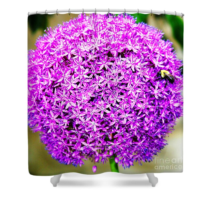 Flower Shower Curtain featuring the photograph Busy Little Bee by Judy Palkimas