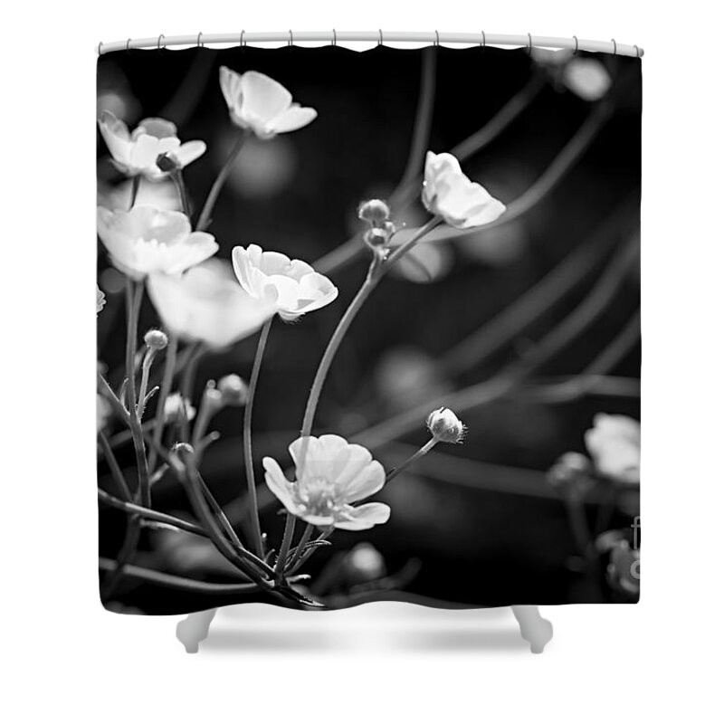 Buttercup Shower Curtain featuring the photograph Buttercups by Elena Elisseeva