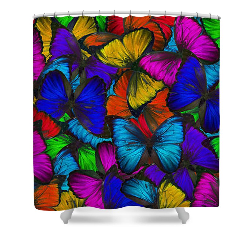 Butterfly Shower Curtain featuring the photograph Butterflies in Flight Panorama by Kyle Hanson