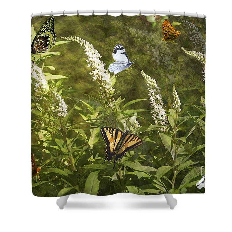 Butterflies Shower Curtain featuring the photograph Butterflies in Golden Garden by Belinda Greb