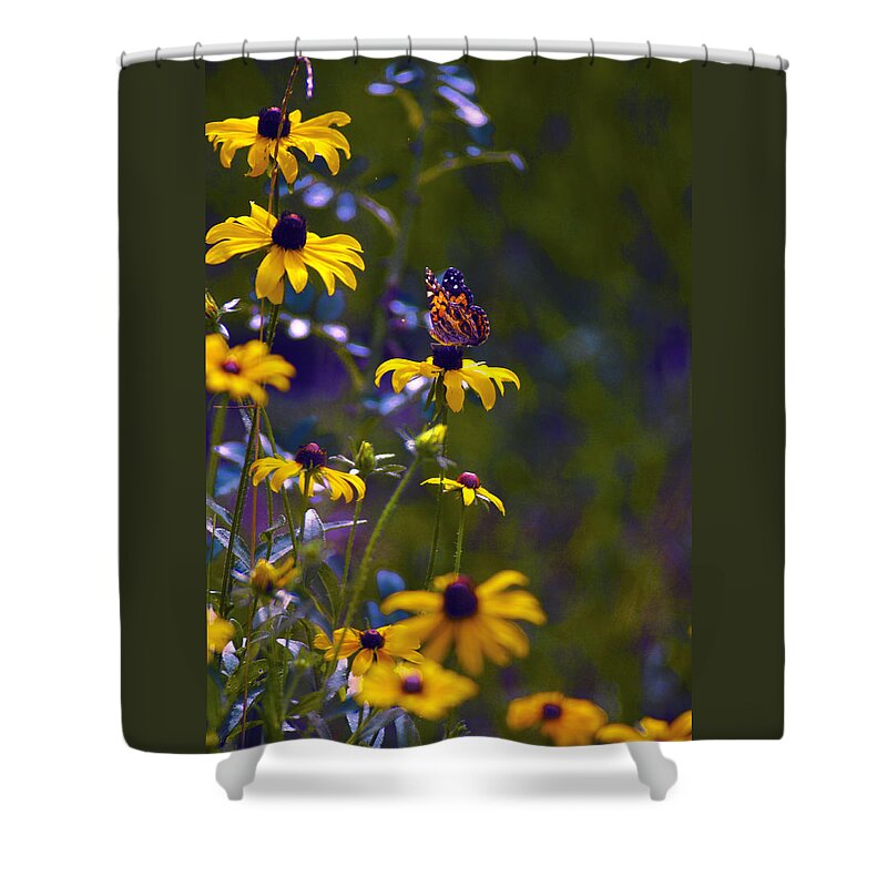 Wildflowers And Butterflies Shower Curtain featuring the digital art Butterfly On Black Eyed Susans by Pamela Smale Williams