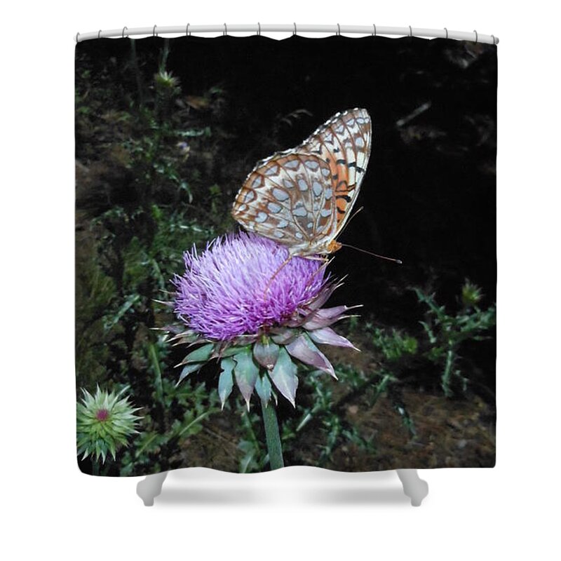 Flowers Shower Curtain featuring the photograph Butterfly at Peace by Daniel Larsen