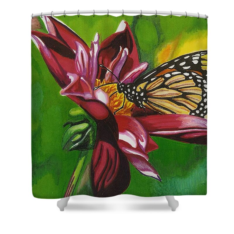 Butterfly Shower Curtain featuring the drawing Butterfly by Cory Still