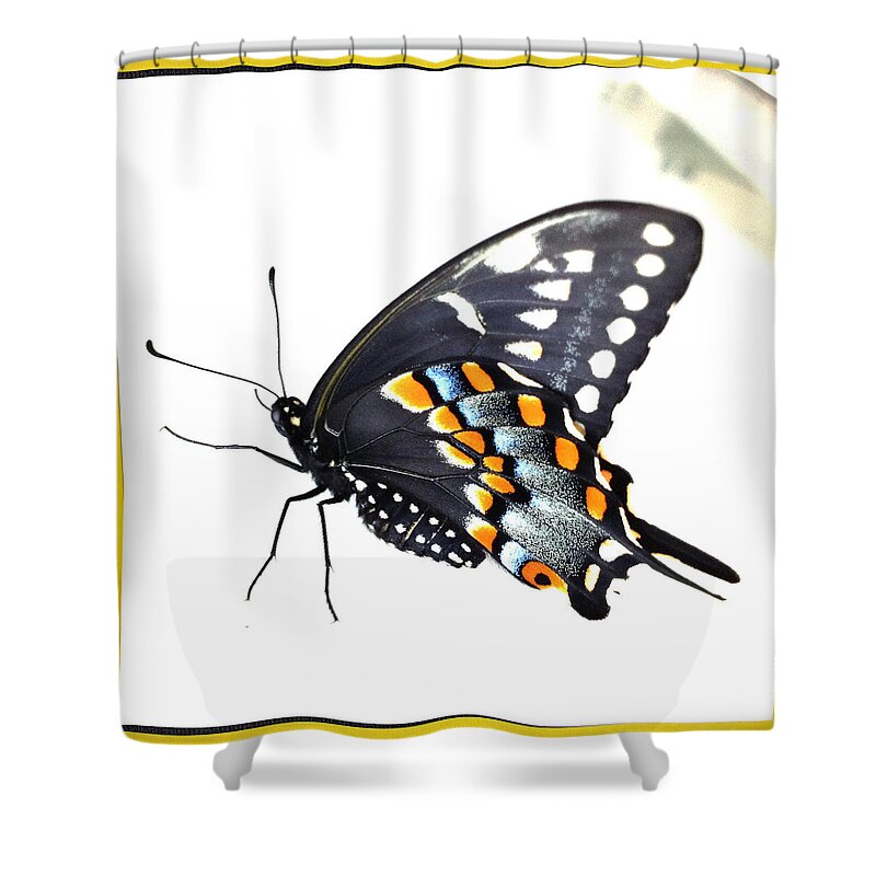 Butterfly Shower Curtain featuring the photograph Butterfly Mellow Yellow by Dorian Hill