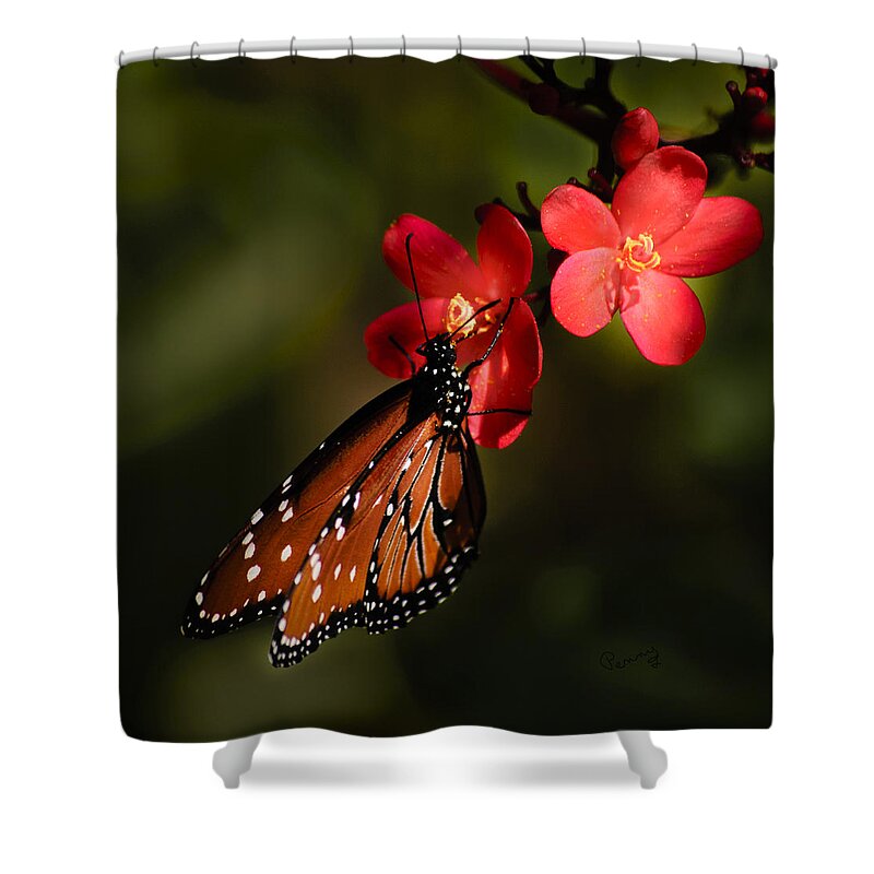 Butterfly Shower Curtain featuring the photograph Butterfly on Red Blossom by Penny Lisowski