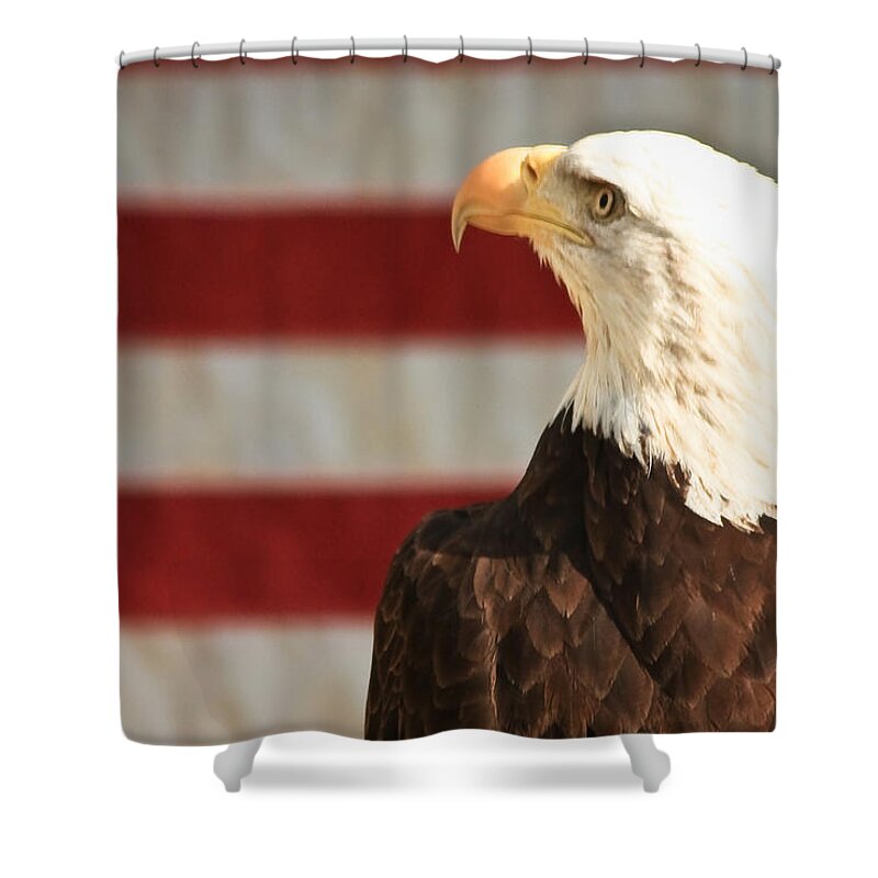Military Shower Curtain featuring the photograph By The Dawns Early Light... by Tammy Schneider