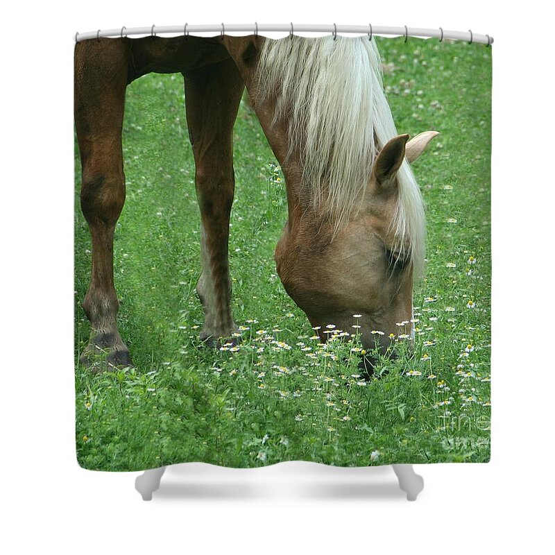 Macro Shower Curtain featuring the photograph Out To Pasture by Barbara S Nickerson