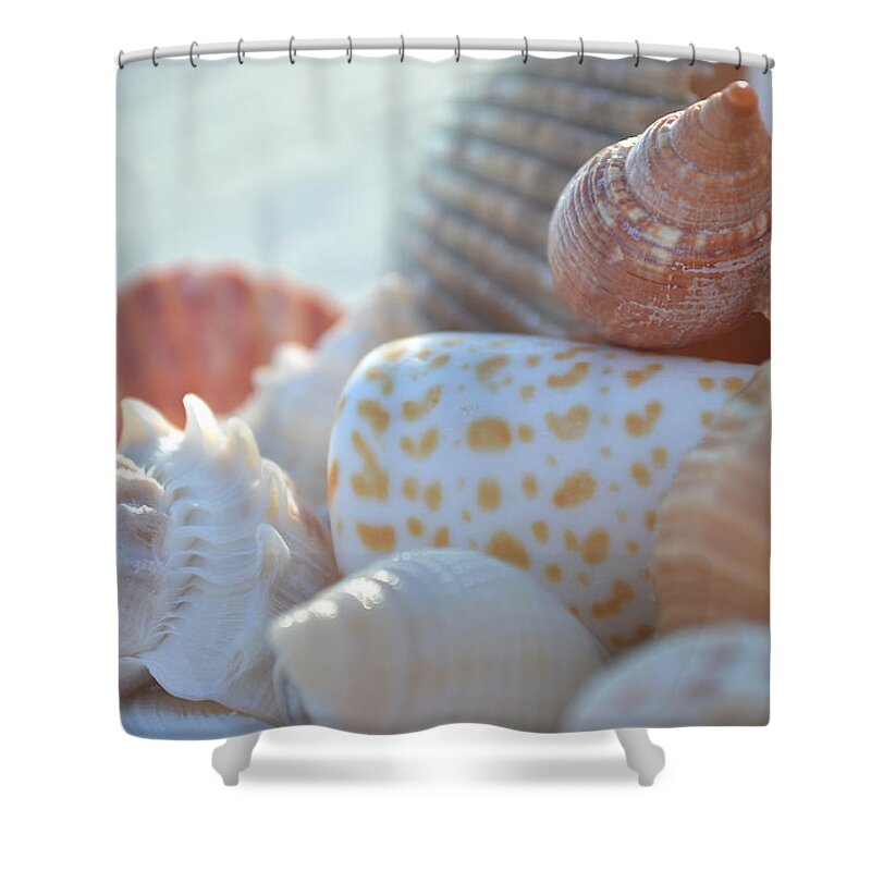 Seashells Shower Curtain featuring the photograph By The Seashore by Melanie Moraga