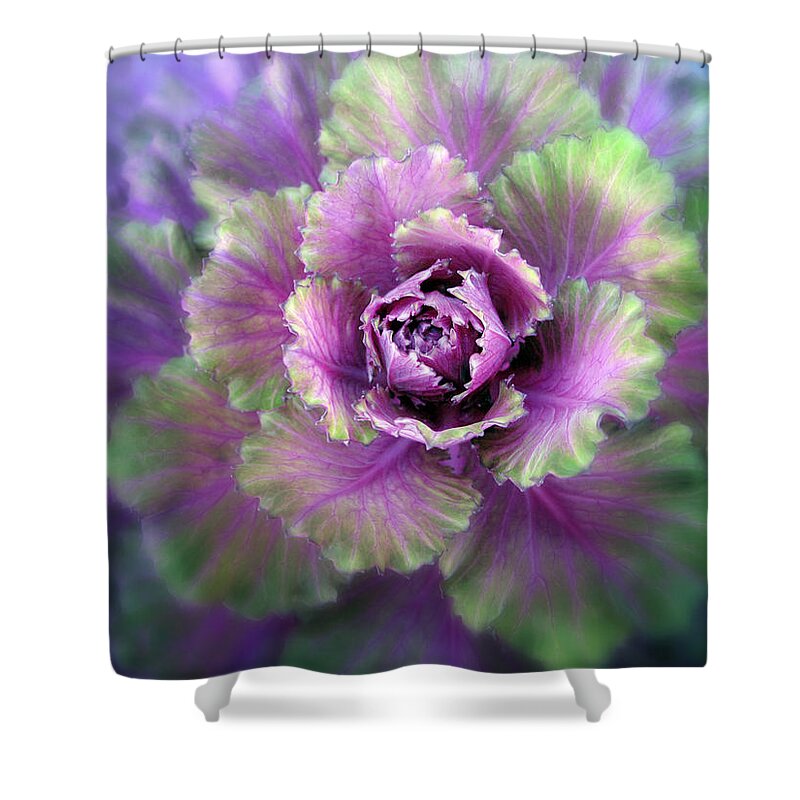 Detail Shower Curtain featuring the photograph Cabbage Flower by Jessica Jenney