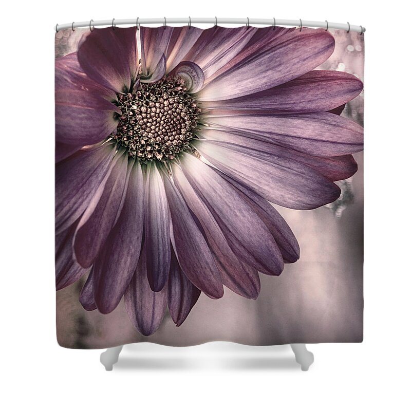 Floral Shower Curtain featuring the photograph Cabernet Sauvignon by Darlene Kwiatkowski