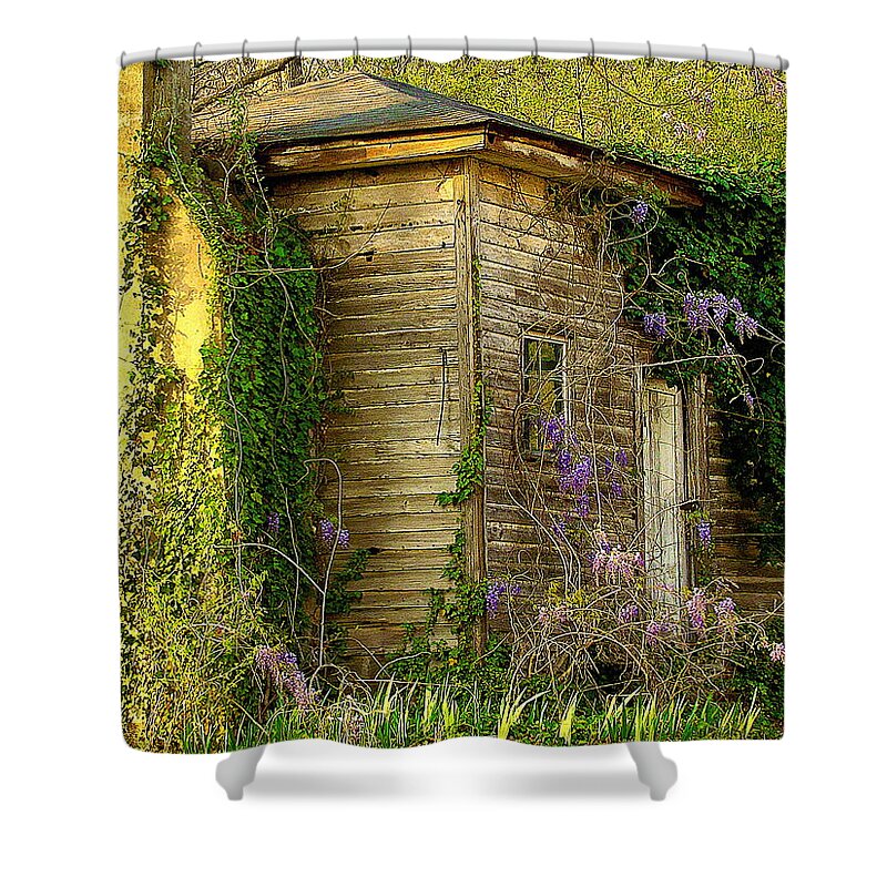 Fine Art Shower Curtain featuring the photograph Cabin in the Back by Rodney Lee Williams