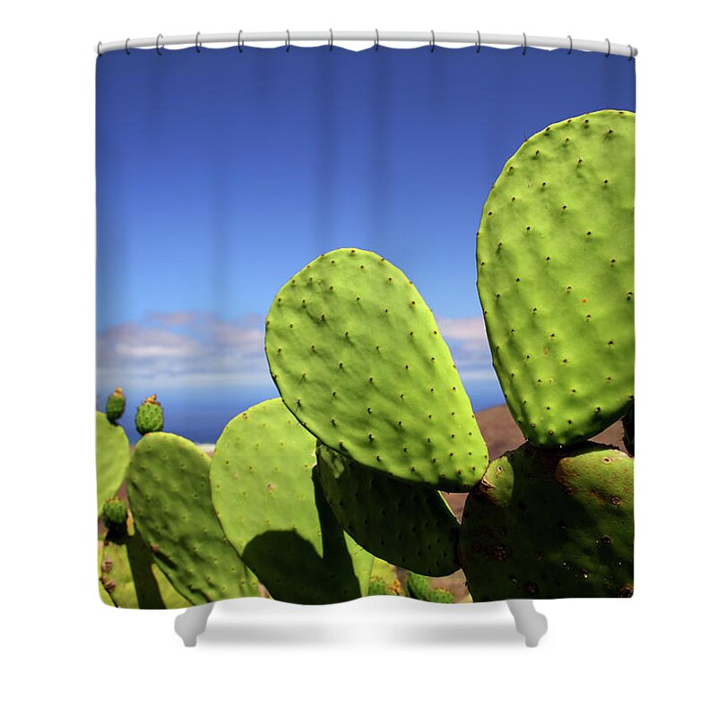 Tropical Tree Shower Curtain featuring the photograph Cactus by Antagain