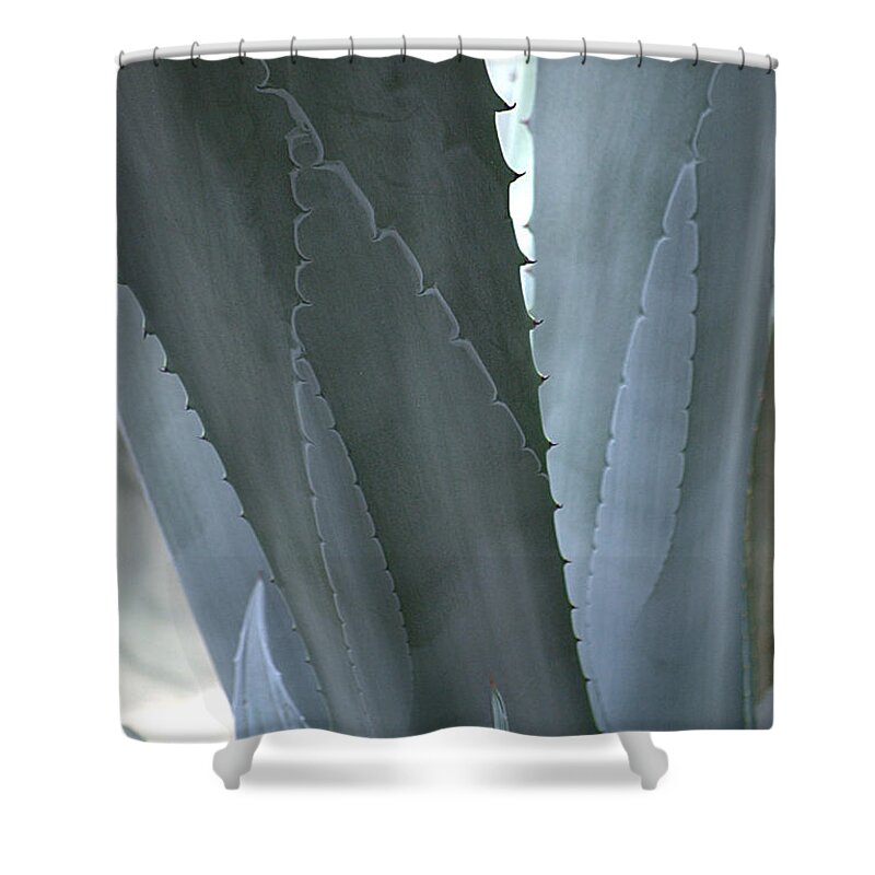 Cactus Shower Curtain featuring the photograph Cactus Texture II by Sharon Elliott