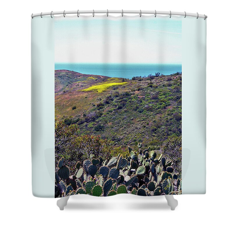 Landscape Shower Curtain featuring the photograph Cactus To Ocean View by Ben and Raisa Gertsberg