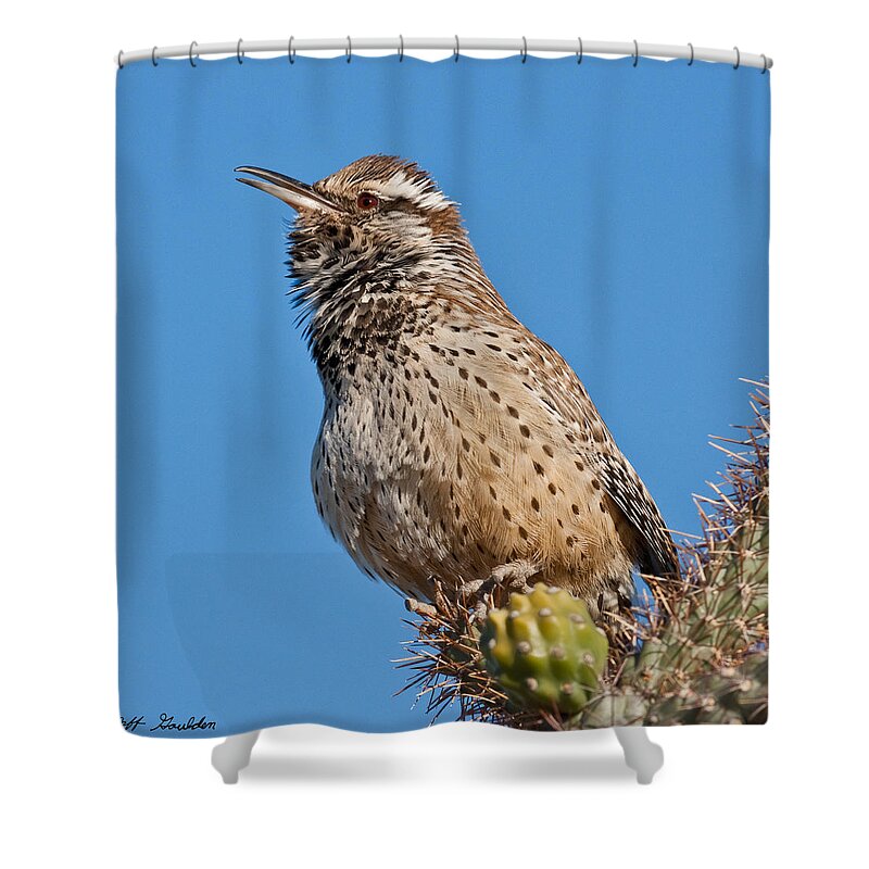 Animal Shower Curtain featuring the photograph Cactus Wren Singing by Jeff Goulden