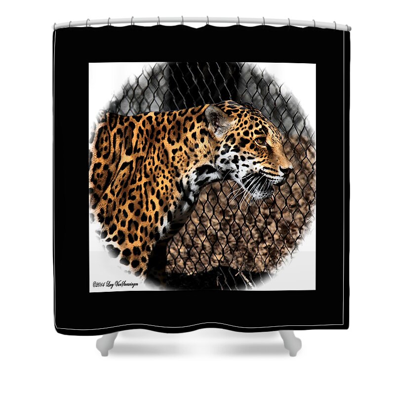 Jaguar Shower Curtain featuring the photograph Caged Jaguar by Lucy VanSwearingen