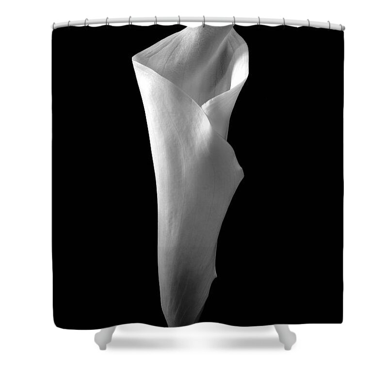 Cala Lilly Shower Curtain featuring the photograph Cala Lilly 2 by Ron White