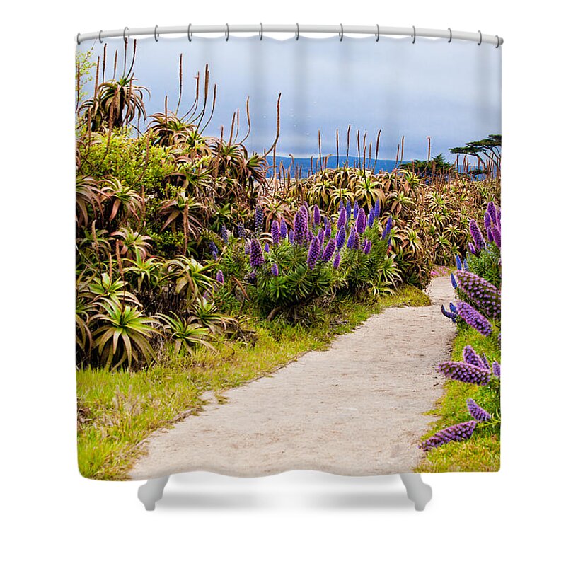 Walkway Shower Curtain featuring the photograph California Coastline Path by Melinda Ledsome