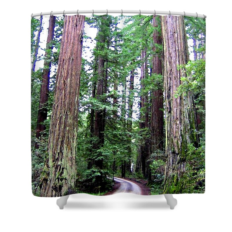 California Redwoods 1 Shower Curtain featuring the digital art California Redwoods 1 by Will Borden