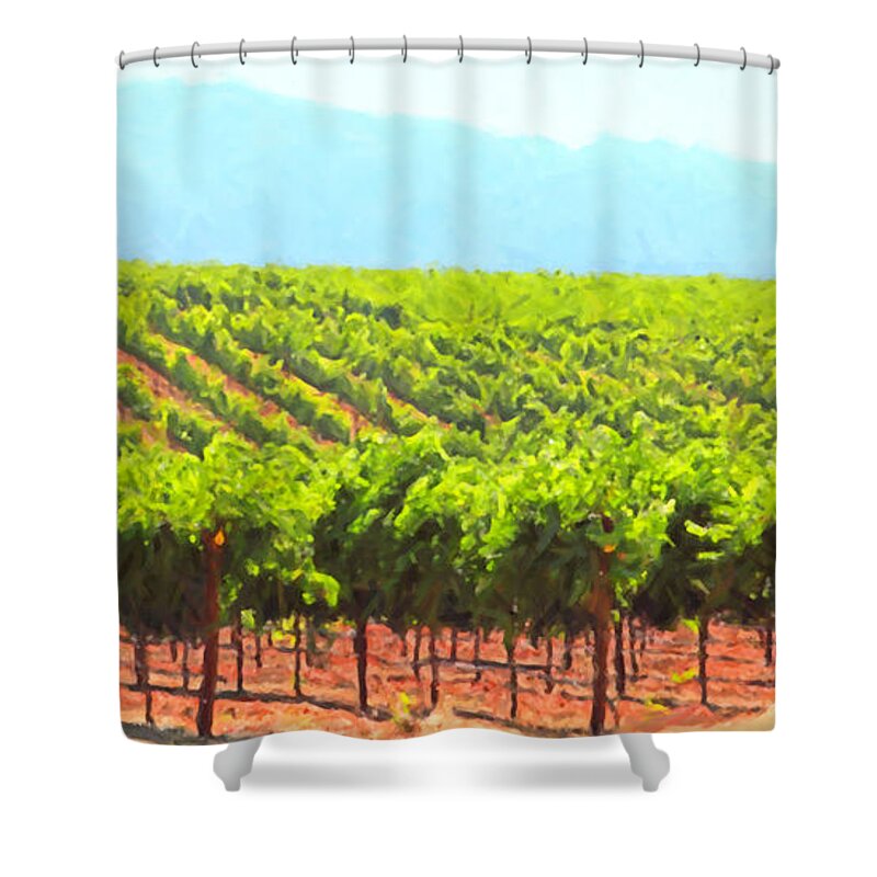 Vineyard Shower Curtain featuring the photograph California Vineyard Wine Country 5D24623 long by Wingsdomain Art and Photography