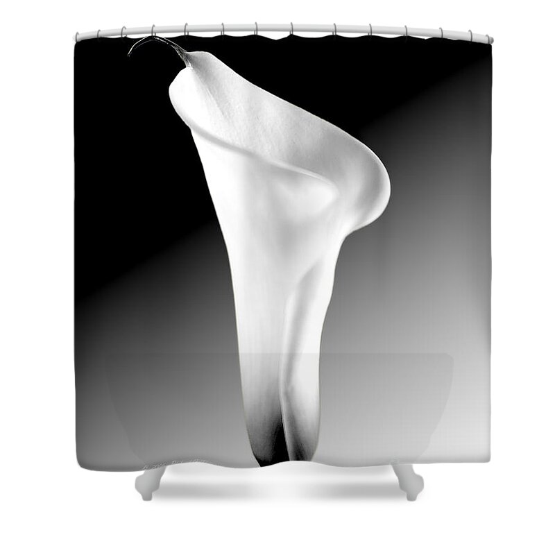 Calla Lily Shower Curtain featuring the photograph Calla Lily BW by Richard J Thompson 
