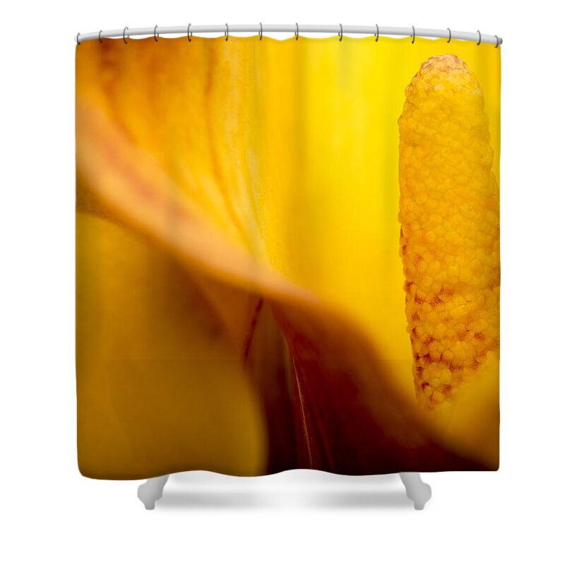 Green Shower Curtain featuring the photograph Calla Lily by Sebastian Musial