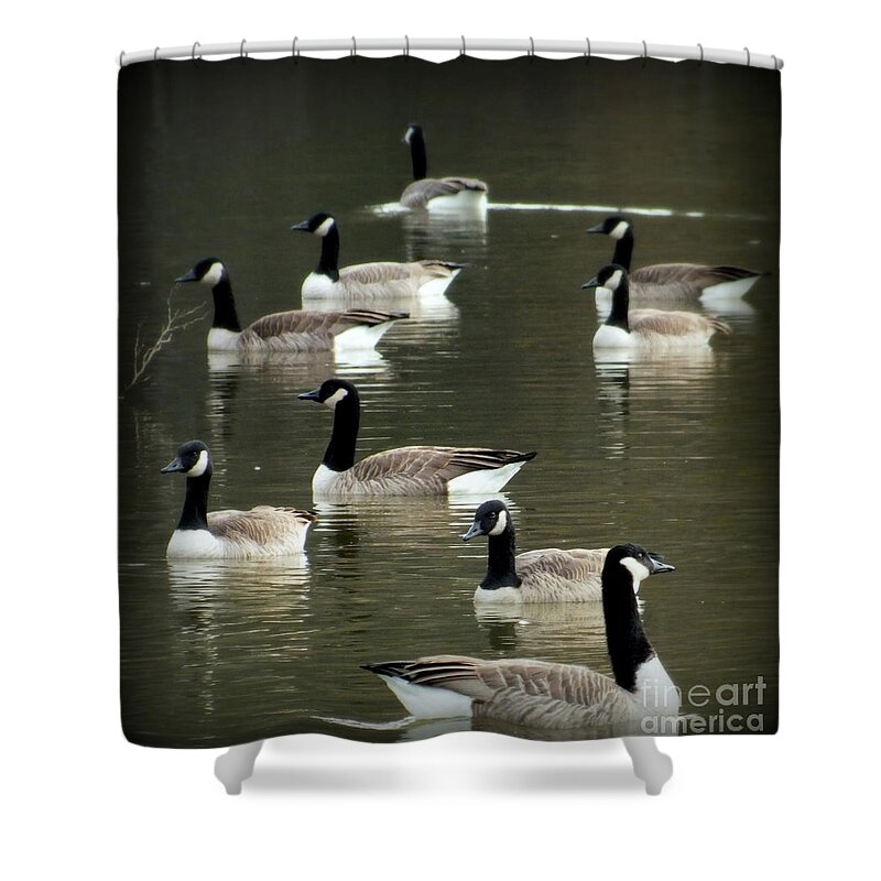Waterscapes Shower Curtain featuring the photograph Calm Waters by Karen Wiles