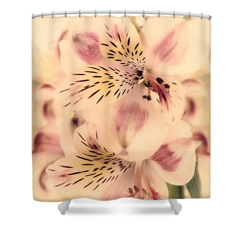 Floral Shower Curtain featuring the photograph Calypso by Darlene Kwiatkowski