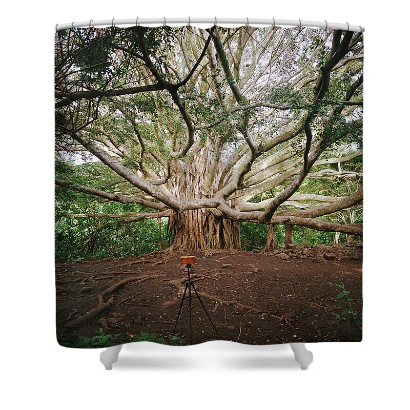Tranquility Shower Curtain featuring the photograph Camera Photographing Banyan Tree by Danielle D. Hughson