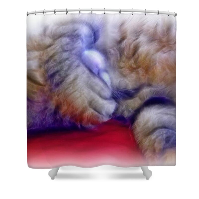 Cat Shower Curtain featuring the photograph Camera Shy Kitty by Lilia D