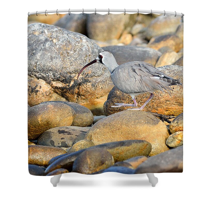 Nature Shower Curtain featuring the photograph Camouflage by Fotosas Photography