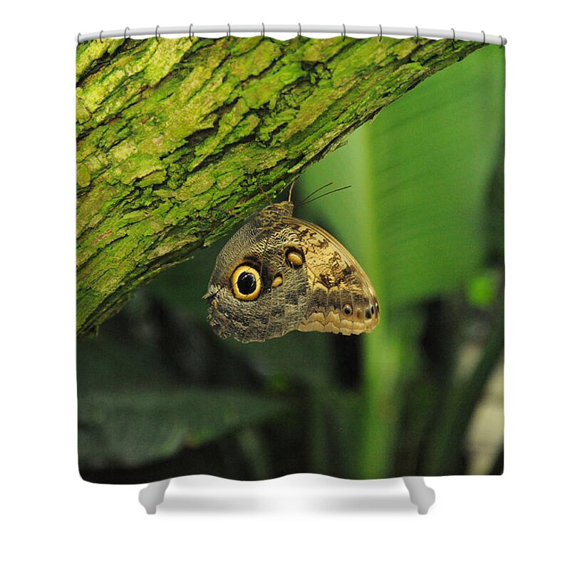 Wildlife Shower Curtain featuring the photograph Camouflage by Richard Gehlbach