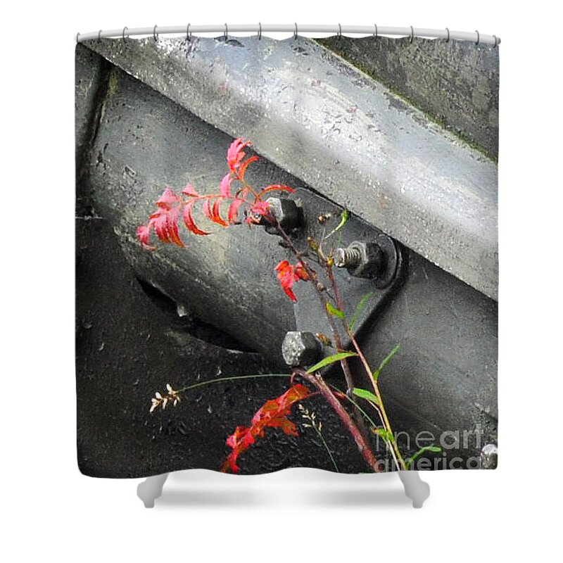 Metal Shower Curtain featuring the photograph Canon Metal by Randi Grace Nilsberg