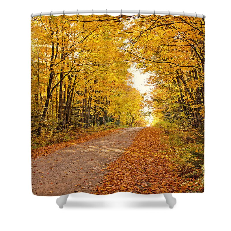 Fall Foliage Shower Curtain featuring the photograph Canopy of Fall by Gwen Gibson