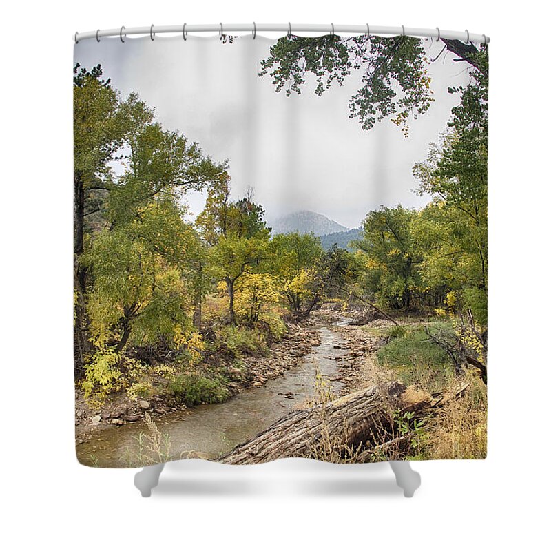 Fall Foliage Shower Curtain featuring the photograph Canyon Gazing by James BO Insogna