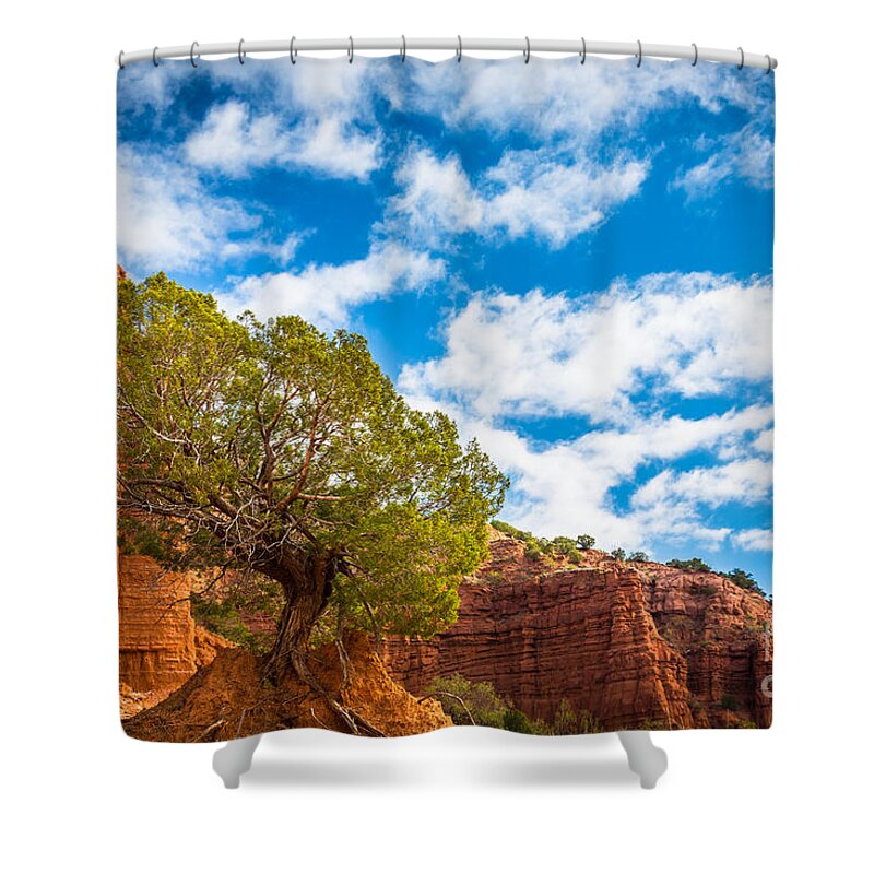 America Shower Curtain featuring the photograph Caprock Canyon Tree by Inge Johnsson