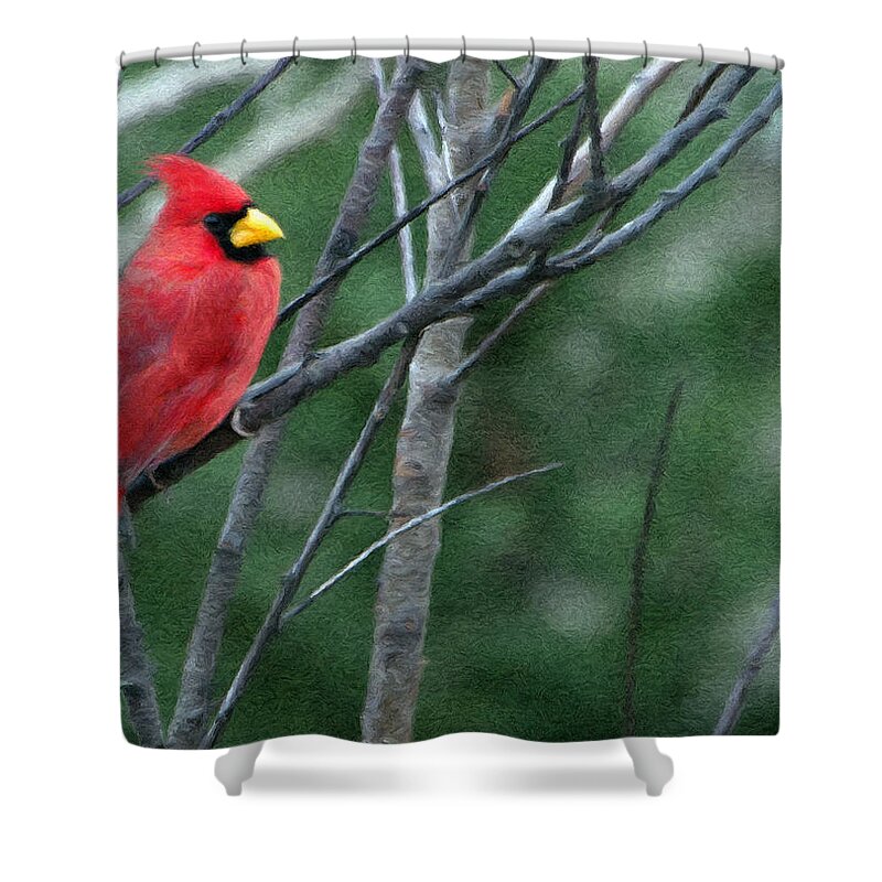 Animal Shower Curtain featuring the painting Cardinal West by Jeffrey Kolker
