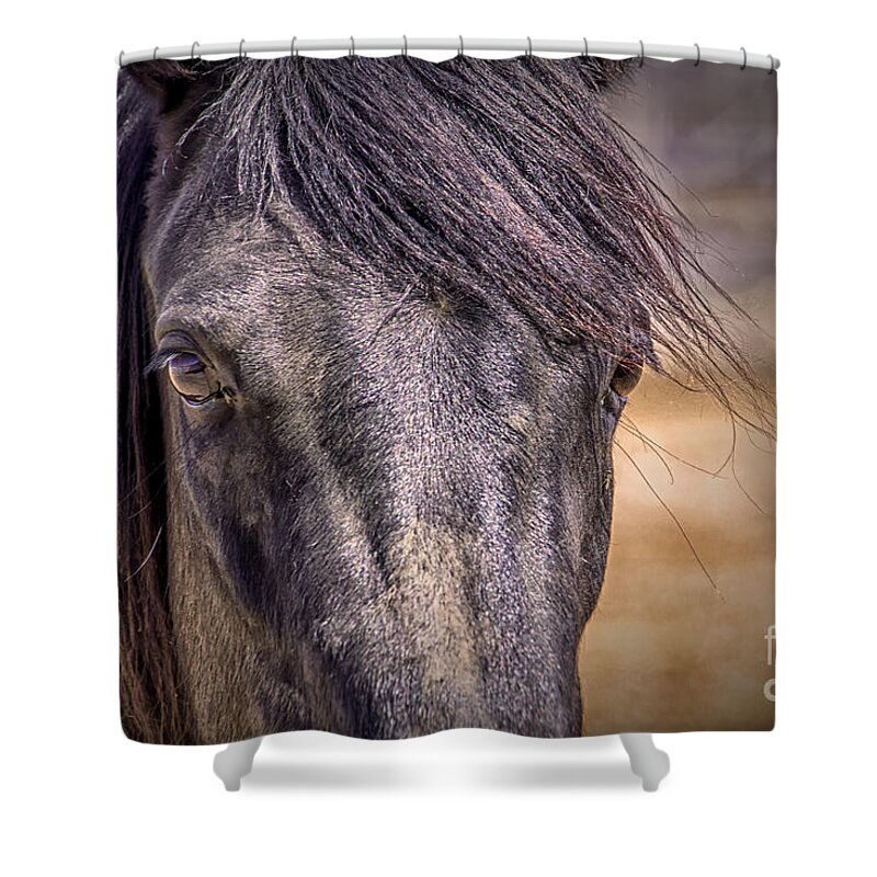 Horse Shower Curtain featuring the digital art Care for Me by Georgianne Giese
