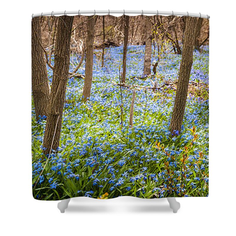 Flowers Shower Curtain featuring the photograph Carpet of blue flowers in spring forest 3 by Elena Elisseeva