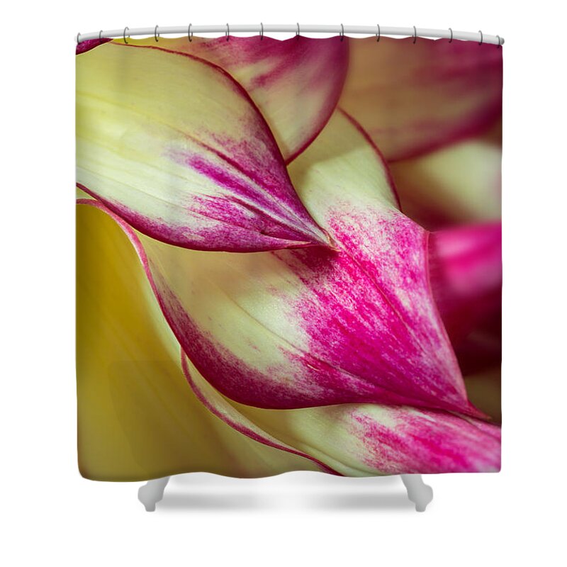Floral Shower Curtain featuring the photograph Cascade by Mary Jo Allen