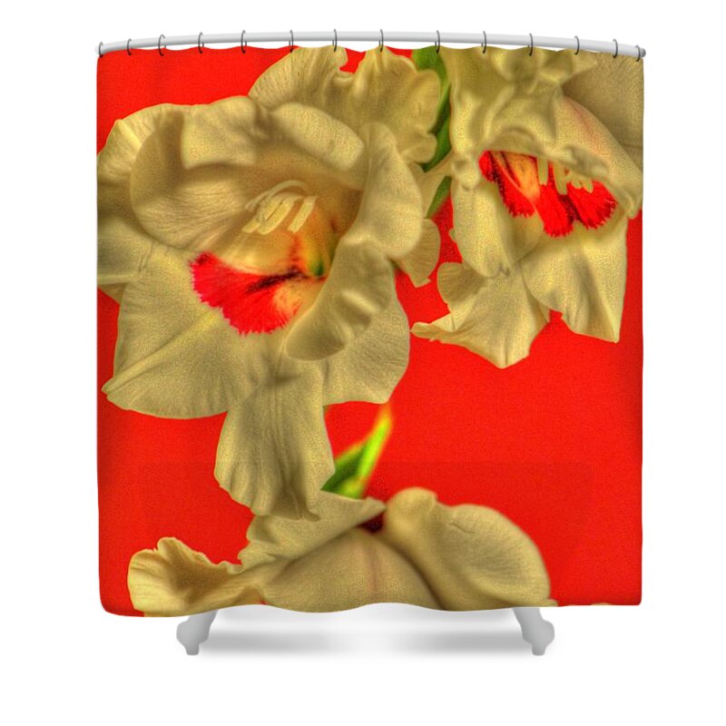 Flower Shower Curtain featuring the photograph Cascading Gladiolas by Deborah Crew-Johnson