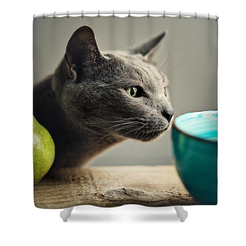 Cat Shower Curtain featuring the photograph Cat and Pears by Nailia Schwarz