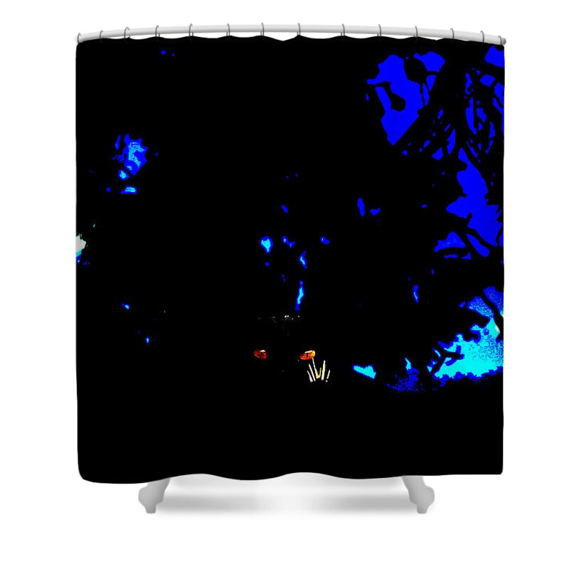 Cat Eyes Shower Curtain featuring the photograph Cat Eyes by Kim Pate
