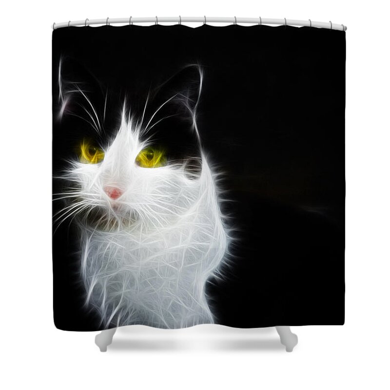 Cat Shower Curtain featuring the photograph Cat portrait fractal artwork by Matthias Hauser